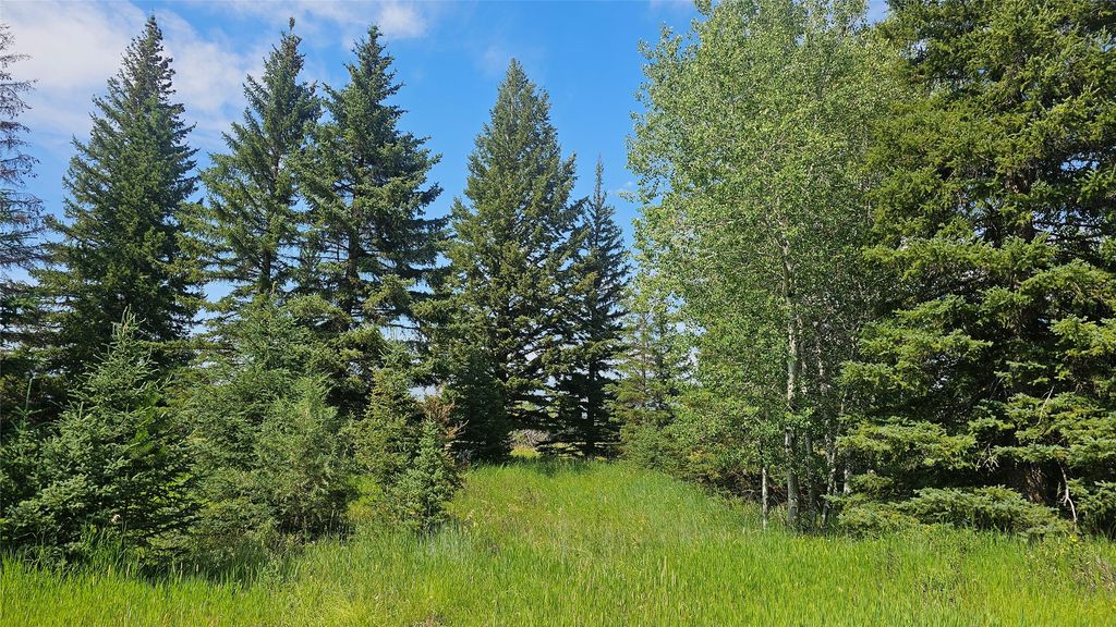 NA W Willow Creek Road, Lincoln, MT 59639 photo 5