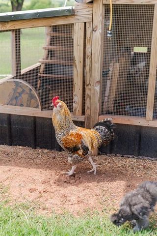 16000 N Hogback Road, Luther, OK 73054