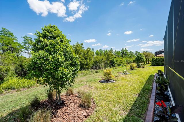 19133 SHIP WHEEL WAY, Land O Lakes, FL 34638