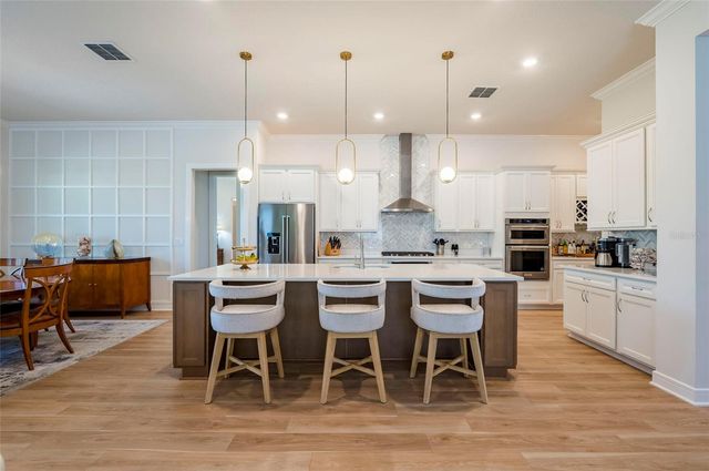19133 SHIP WHEEL WAY, Land O Lakes, FL 34638