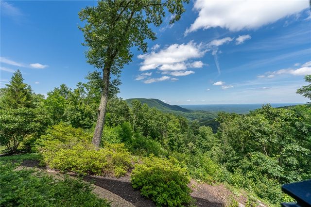 29 High Cliffe Way, Landrum, SC 29356