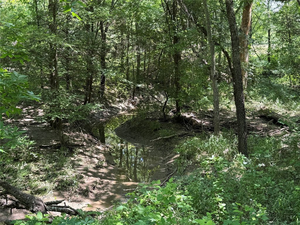 1234 County Road 2905, Dodd City, TX 75438