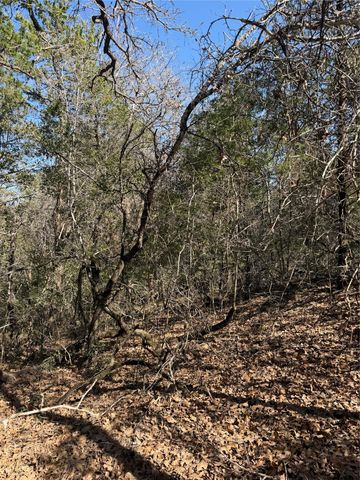 Lot 321 Keneka LN, Bastrop, TX 78602