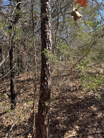 Lot 321 Keneka LN, Bastrop, TX 78602