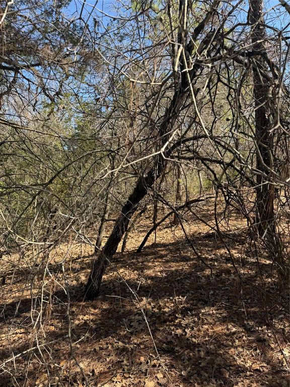 Lot 321 Keneka LN, Bastrop, TX 78602