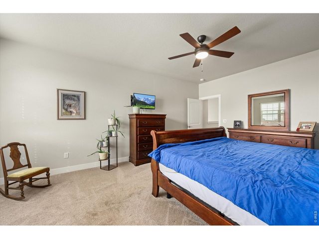 479 Mt Belford Dr, Severance, CO 80550