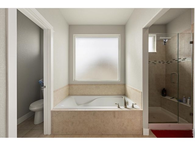 479 Mt Belford Dr, Severance, CO 80550