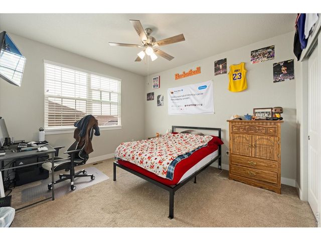 479 Mt Belford Dr, Severance, CO 80550