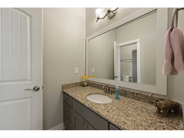 479 Mt Belford Dr, Severance, CO 80550