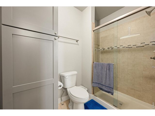 479 Mt Belford Dr, Severance, CO 80550