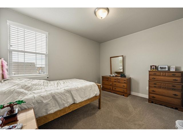 479 Mt Belford Dr, Severance, CO 80550