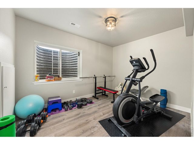 479 Mt Belford Dr, Severance, CO 80550