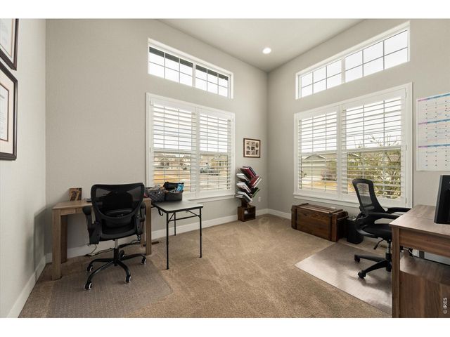 479 Mt Belford Dr, Severance, CO 80550