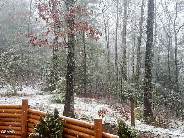 556 Thissa Way, Gatlinburg, TN 37738