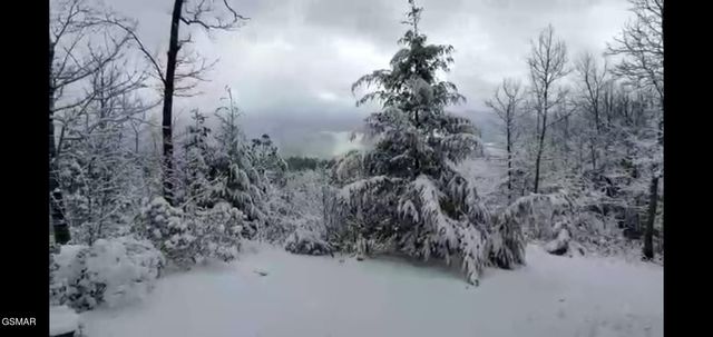 556 Thissa Way, Gatlinburg, TN 37738