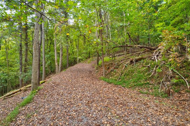 99&102R Ponca Court, Ellijay, GA 30540