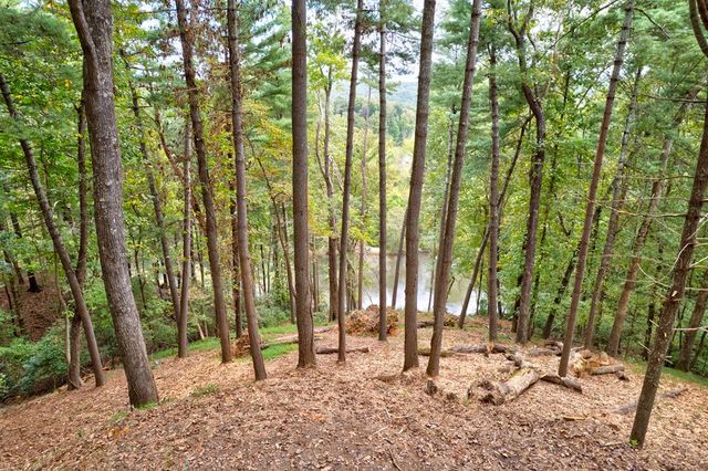 99&102R Ponca Court, Ellijay, GA 30540