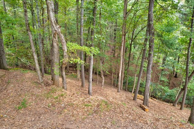 99&102R Ponca Court, Ellijay, GA 30540