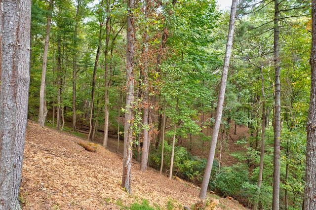 99&102R Ponca Court, Ellijay, GA 30540