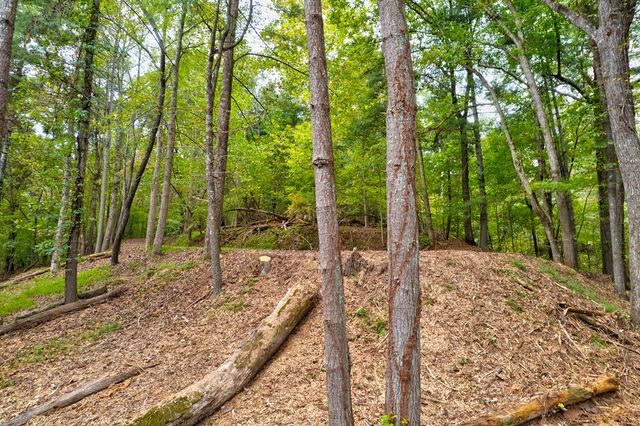 99&102R Ponca Court, Ellijay, GA 30540