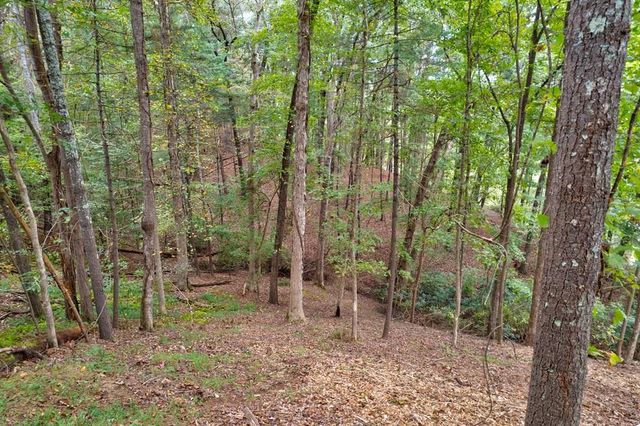 99&102R Ponca Court, Ellijay, GA 30540
