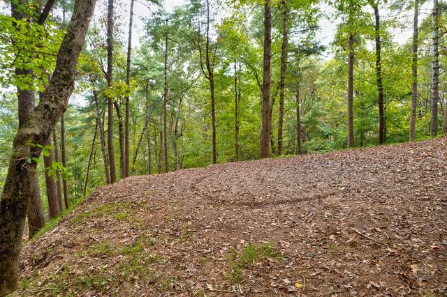 99&102R Ponca Court, Ellijay, GA 30540