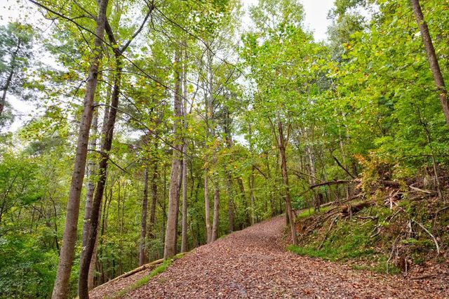 99&102R Ponca Court, Ellijay, GA 30540