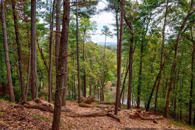 99&102R Ponca Court, Ellijay, GA 30540