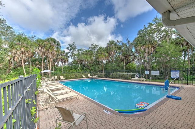 4722 TUSCAN LOON DRIVE, Tampa, FL 33619