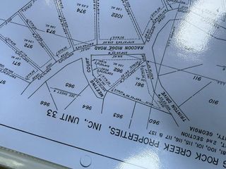 962 NE Raccoon Ridge Ne, Ranger, GA 30734