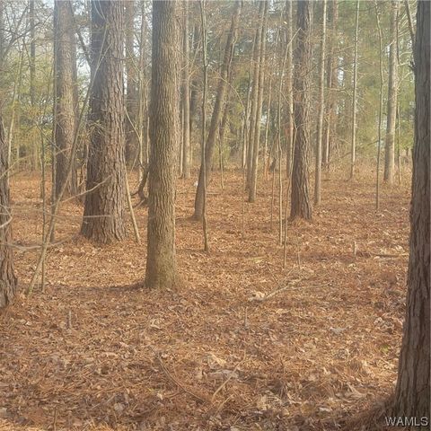 569 Gore Road, Pickensville, AL 35447