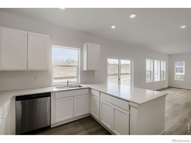 1774 Drumming Drive, Windsor, CO 80550
