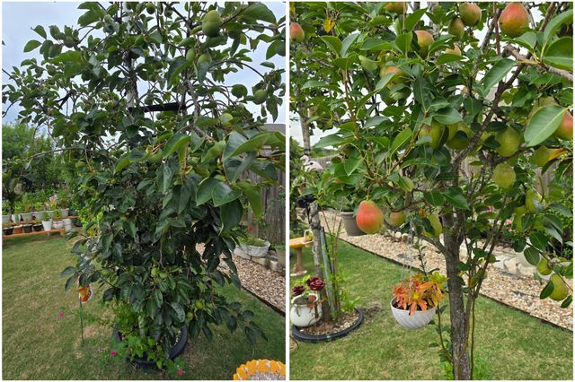 19621 Woodrow Wilson DR, Manor, TX 78653