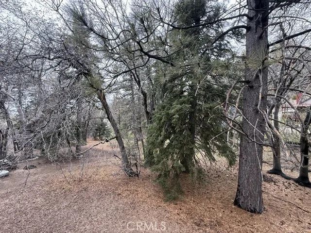 33036 Maple Lane, Green Valley Lake, CA 92341