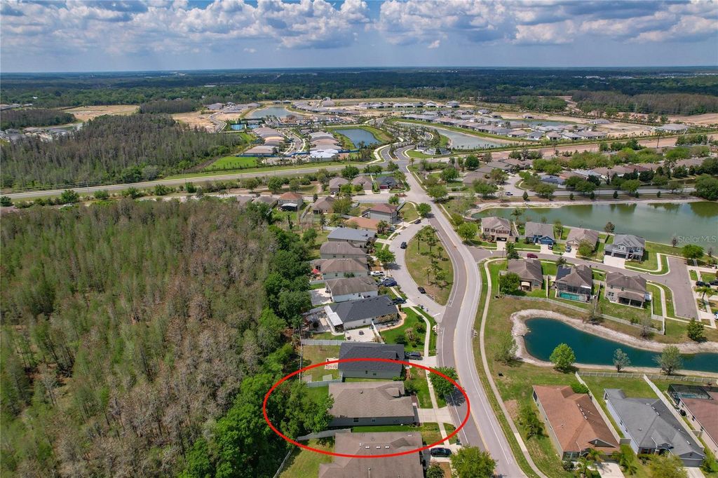 Image 34 of property listing at 3839 GRECKO DRIVE, Wesley Chapel, FL 33543