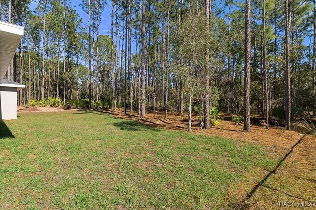 7685 N Maltese Drive, Citrus Springs, FL 34433