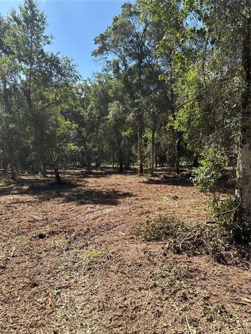 450 OLD GENEVA ROAD, Geneva, FL 32732