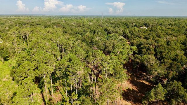450 OLD GENEVA ROAD, Geneva, FL 32732