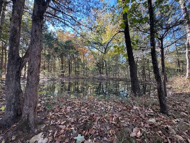 3461 S 90th Road, Flemington, MO 65650