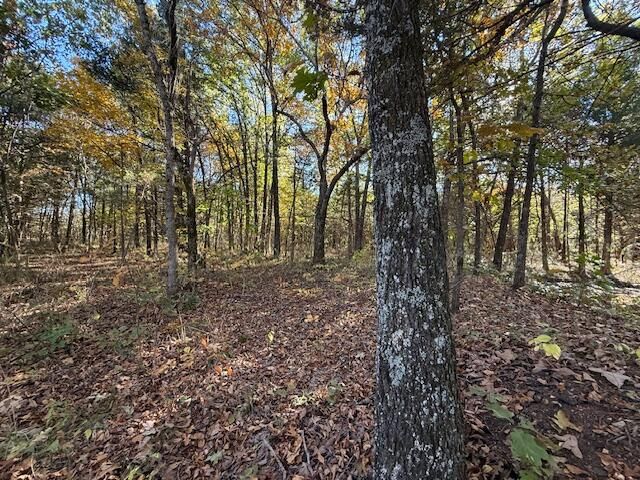 3461 S 90th Road, Flemington, MO 65650