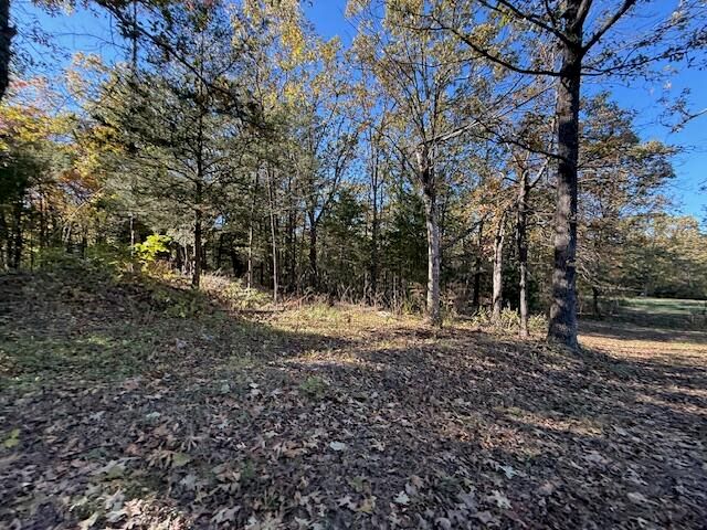 3461 S 90th Road, Flemington, MO 65650