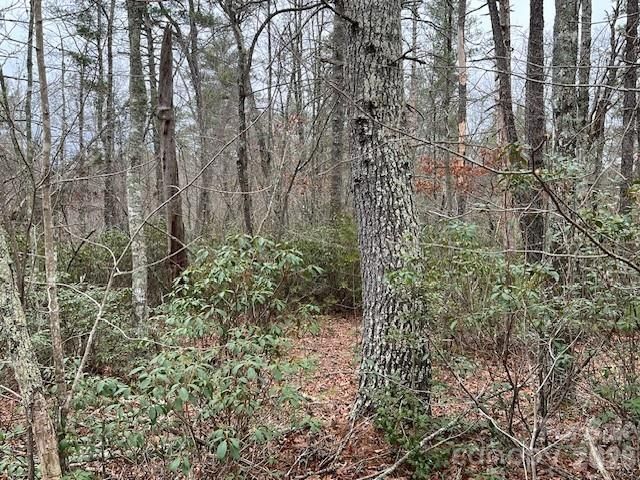 TBD Quiet Creek Lane 16, Collettsville, NC 28611