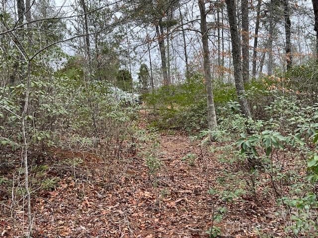 TBD Quiet Creek Lane 16, Collettsville, NC 28611