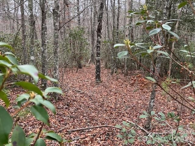 TBD Quiet Creek Lane 16, Collettsville, NC 28611