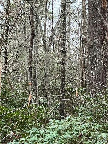 TBD Quiet Creek Lane 16, Collettsville, NC 28611