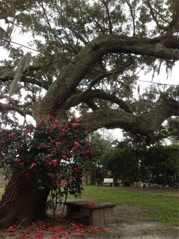 2223 KILMER LANE, Apopka, FL 32703