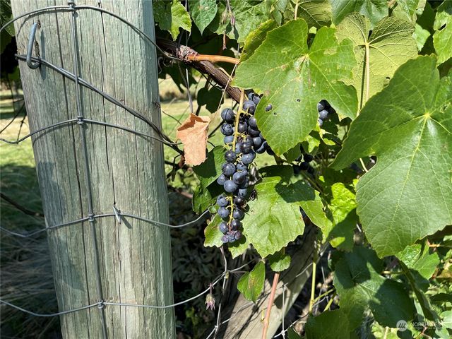 103 Wolf Fork Road, Dayton, WA 99328