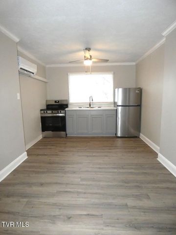 31157 Princeton Avenue, Meadowview, VA 24361