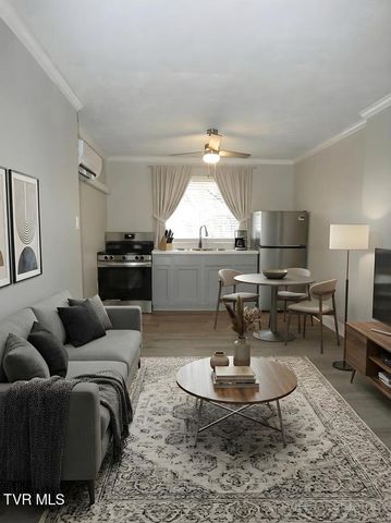 31157 Princeton Avenue, Meadowview, VA 24361