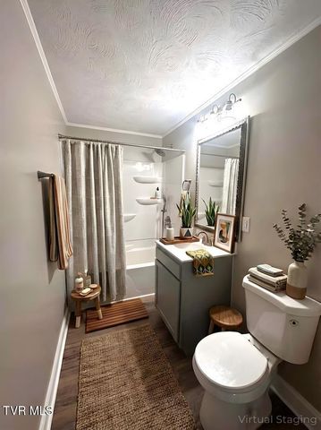 31157 Princeton Avenue, Meadowview, VA 24361